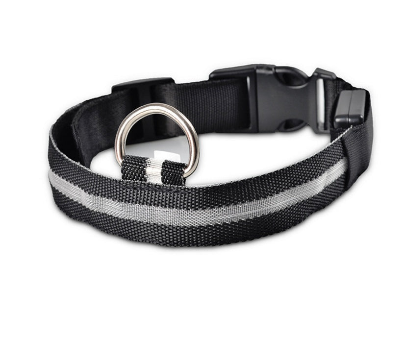 LED Safety Pet Collar – USB Rechargeable & Adjustable