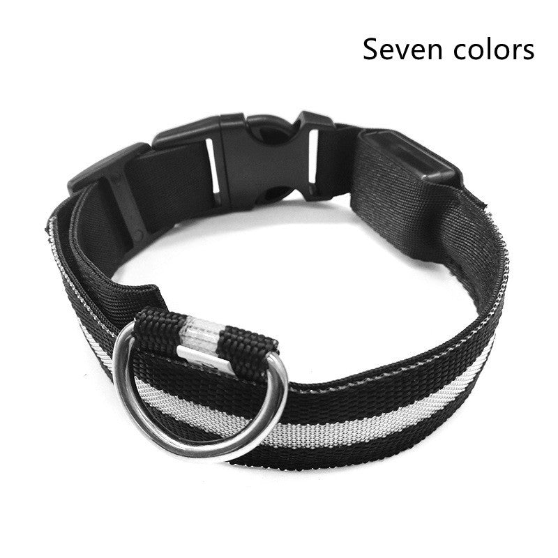 LED Safety Pet Collar – USB Rechargeable & Adjustable
