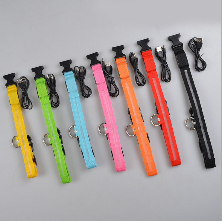 LED Safety Pet Collar – USB Rechargeable & Adjustable
