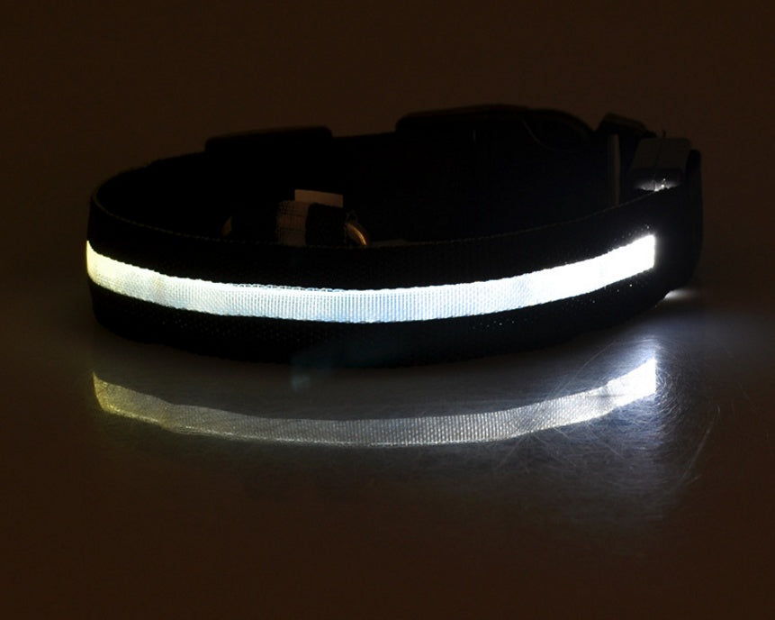 LED Safety Pet Collar – USB Rechargeable & Adjustable