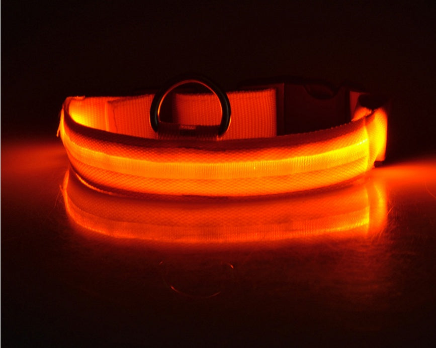 LED Safety Pet Collar – USB Rechargeable & Adjustable