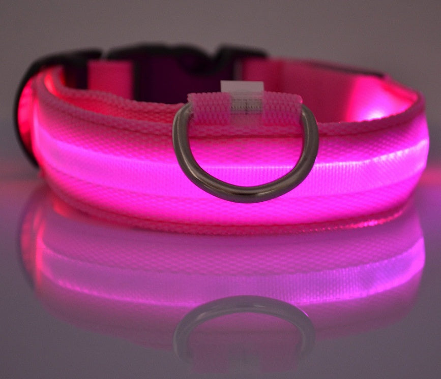 LED Safety Pet Collar – USB Rechargeable & Adjustable