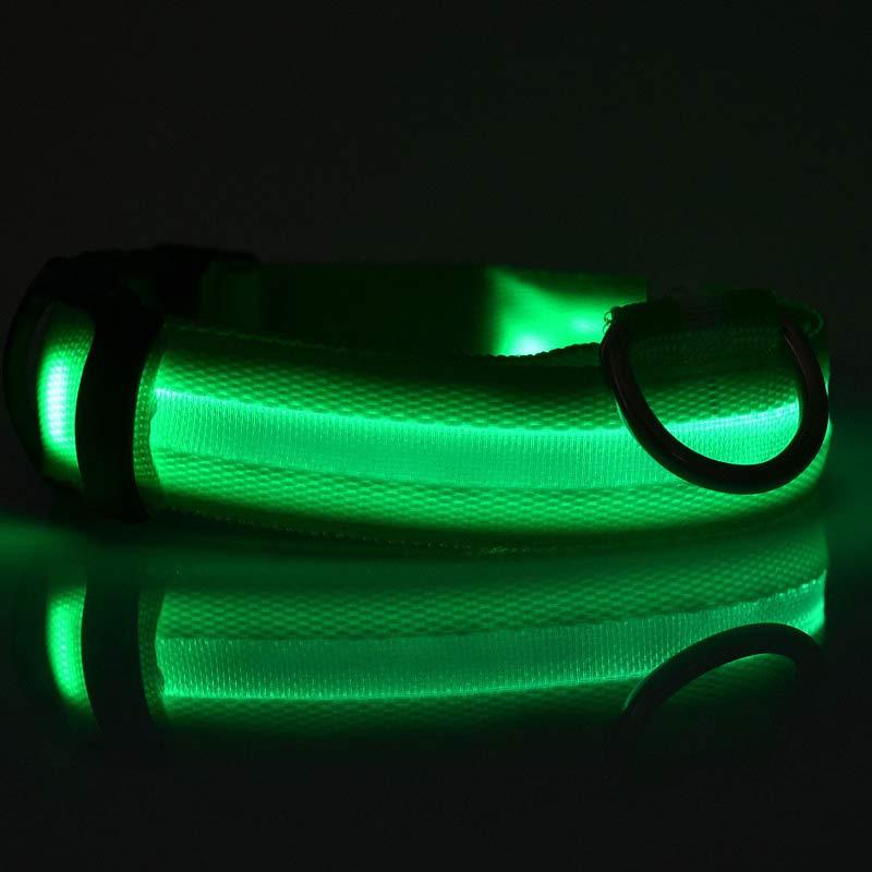 LED Safety Pet Collar – USB Rechargeable & Adjustable
