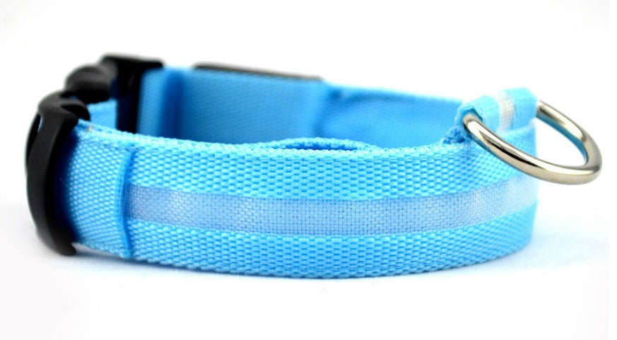 LED Safety Pet Collar – USB Rechargeable & Adjustable