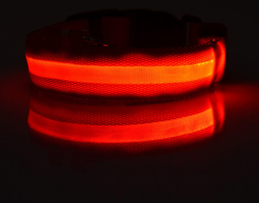 LED Safety Pet Collar – USB Rechargeable & Adjustable