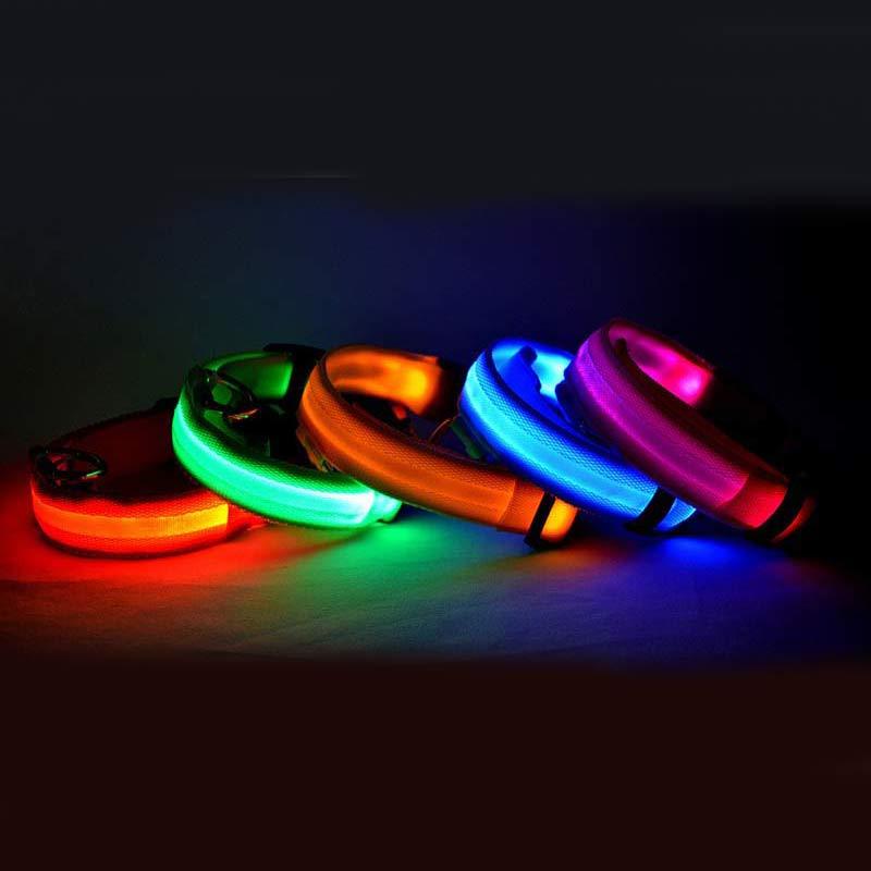 LED Safety Pet Collar – USB Rechargeable & Adjustable