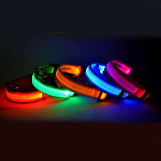 LED Safety Pet Collar – USB Rechargeable & Adjustable