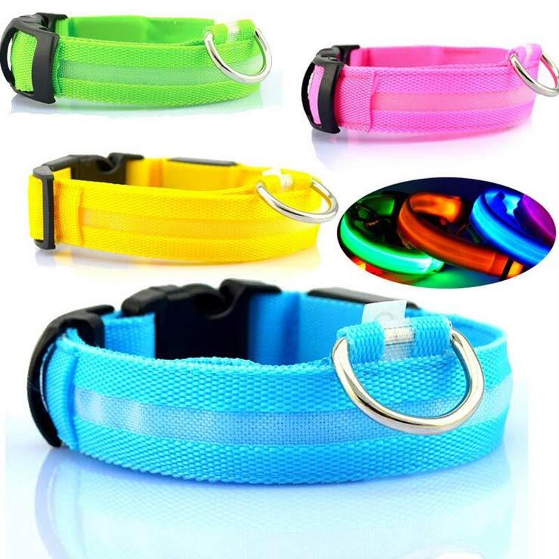 LED Safety Pet Collar – USB Rechargeable & Adjustable
