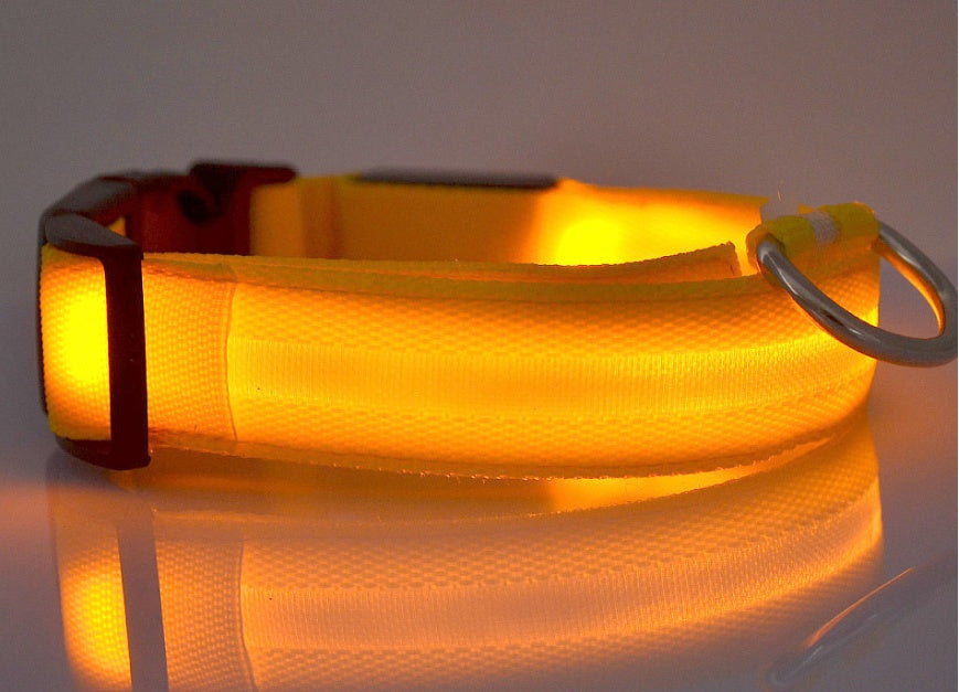 LED Safety Pet Collar – USB Rechargeable & Adjustable