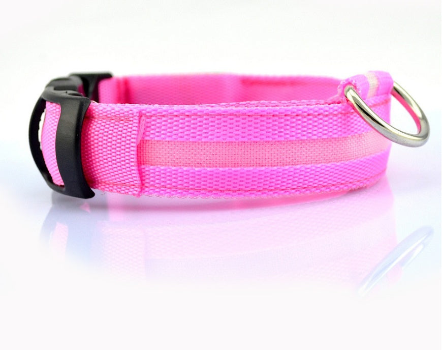 LED Safety Pet Collar – USB Rechargeable & Adjustable