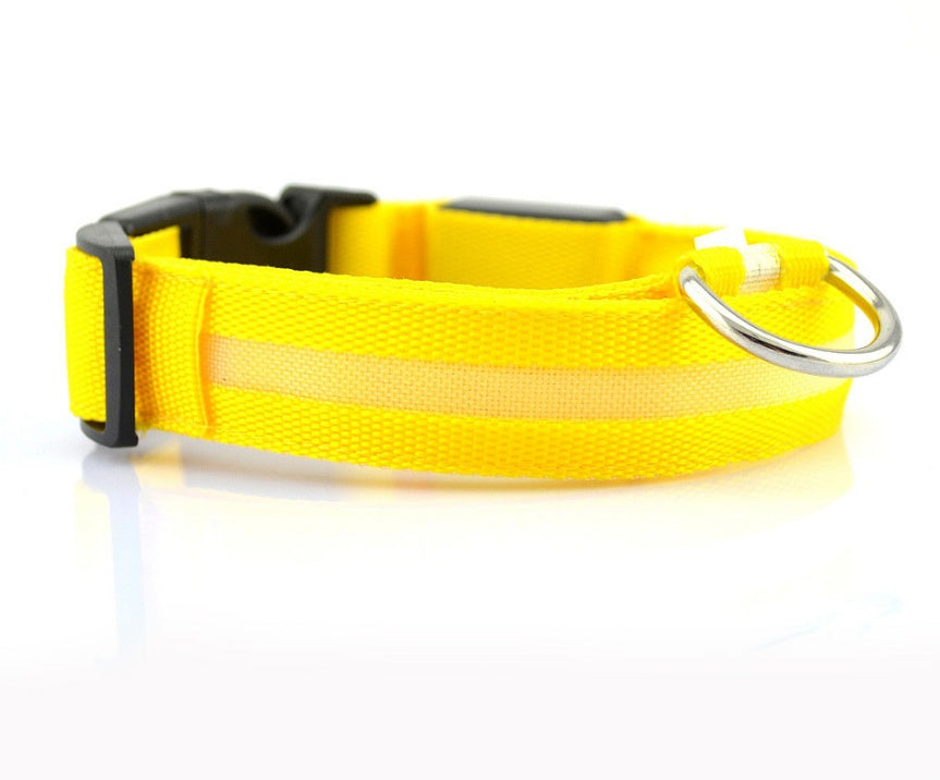 LED Safety Pet Collar – USB Rechargeable & Adjustable