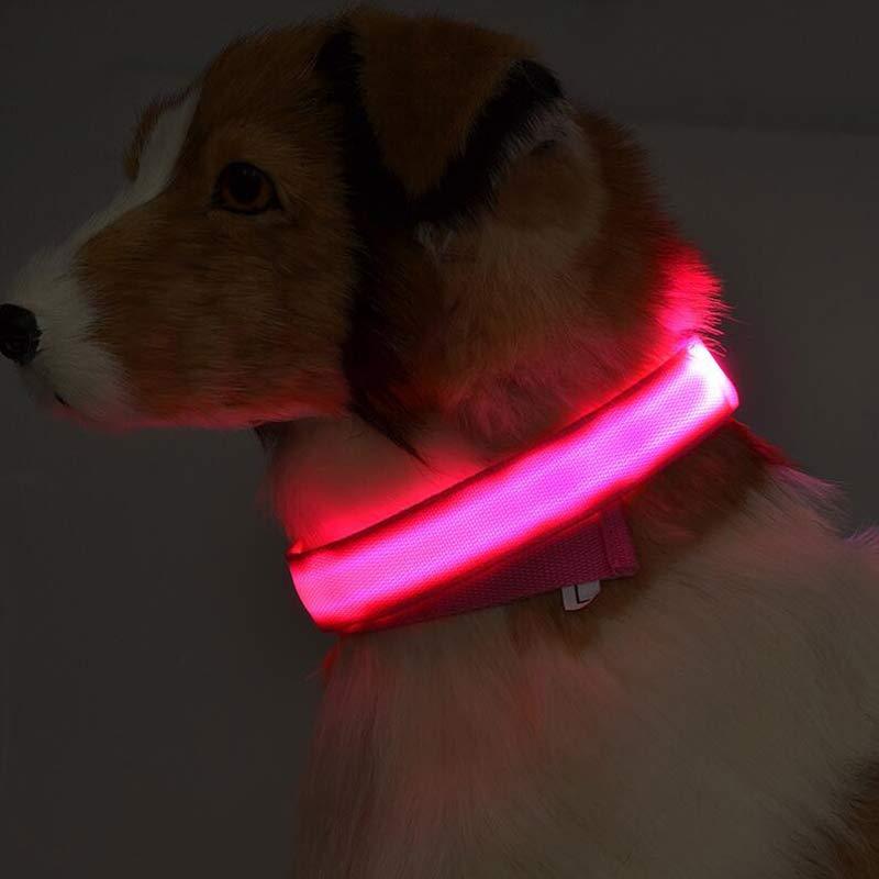 LED Safety Pet Collar – USB Rechargeable & Adjustable