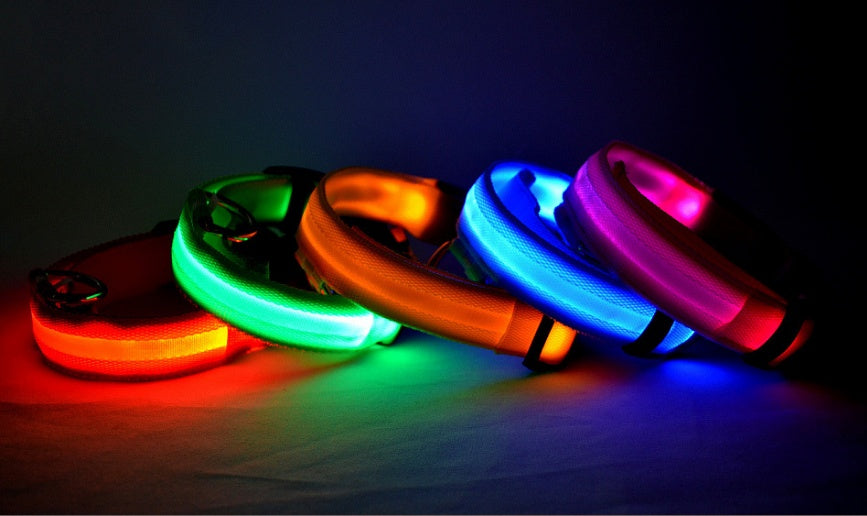 LED Safety Pet Collar – USB Rechargeable & Adjustable