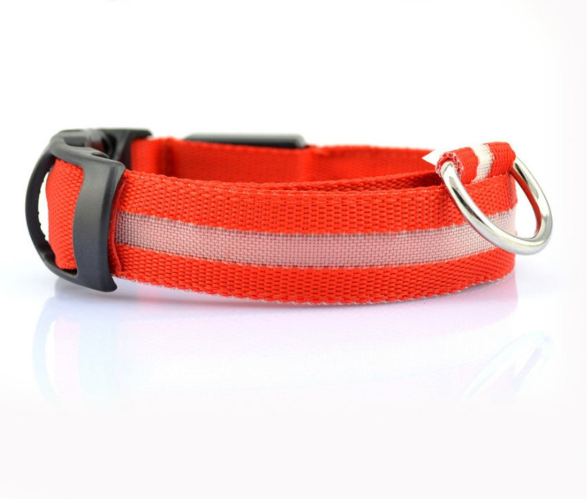 LED Safety Pet Collar – USB Rechargeable & Adjustable