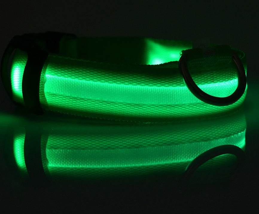 LED Safety Pet Collar – USB Rechargeable & Adjustable