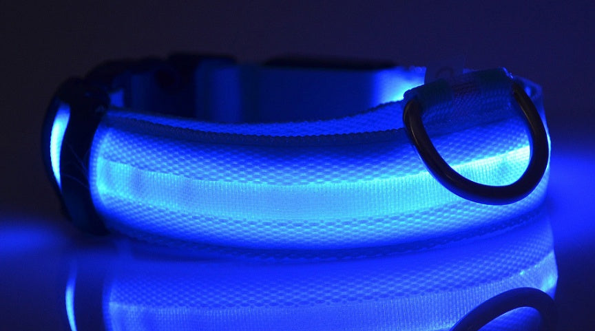 LED Safety Pet Collar – USB Rechargeable & Adjustable