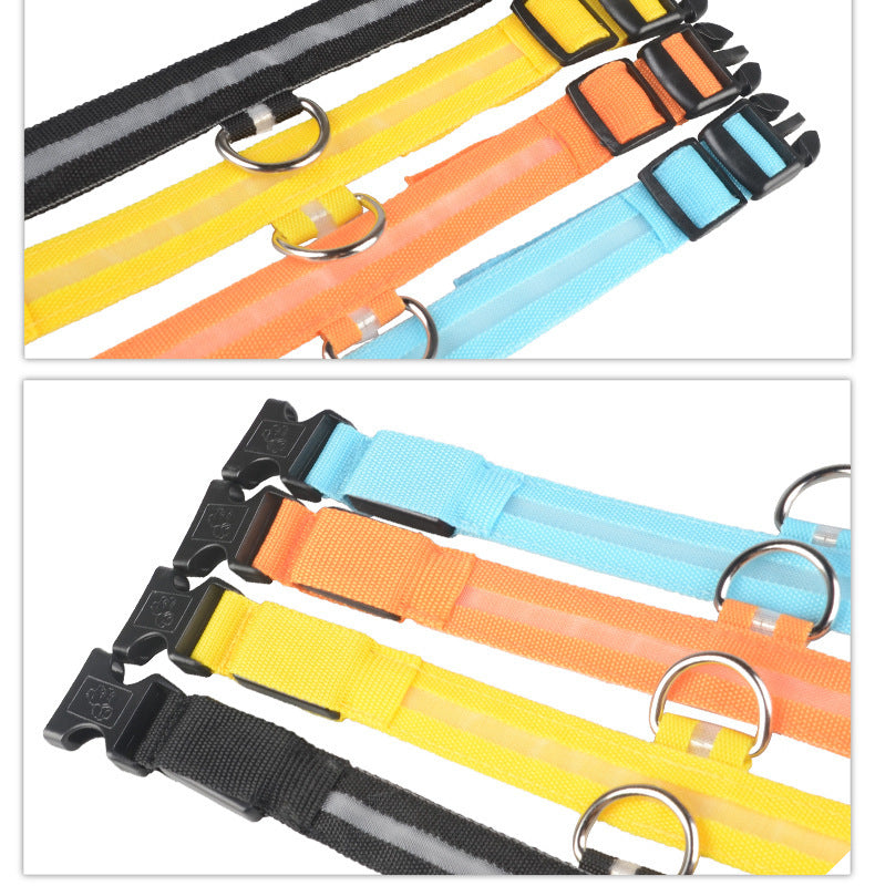 LED Safety Pet Collar – USB Rechargeable & Adjustable
